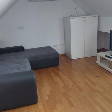 Апартаменты Apartma Samo Крань Экстерьер фото